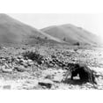 thumbnail image 1 of Nez Perc Sweat-Lodge. Edward S. Curtis Photo History (24 x 18), 1 of 1