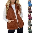 thumbnail image 1 of Nfurl Ladies Outerwear Vest with Pockets Trendy Winter Solid Color Zip up Puffer Vests for Women Dressy Casual Quilted Puffy Sleeveless Jacket Orange XXXL, 1 of 8