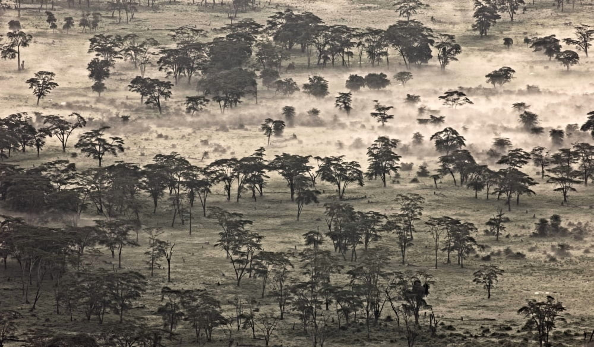 Ngorongoro Crater Tanzania Africa Canvas Art - Carson Ganci Design Pics (20 x 11)