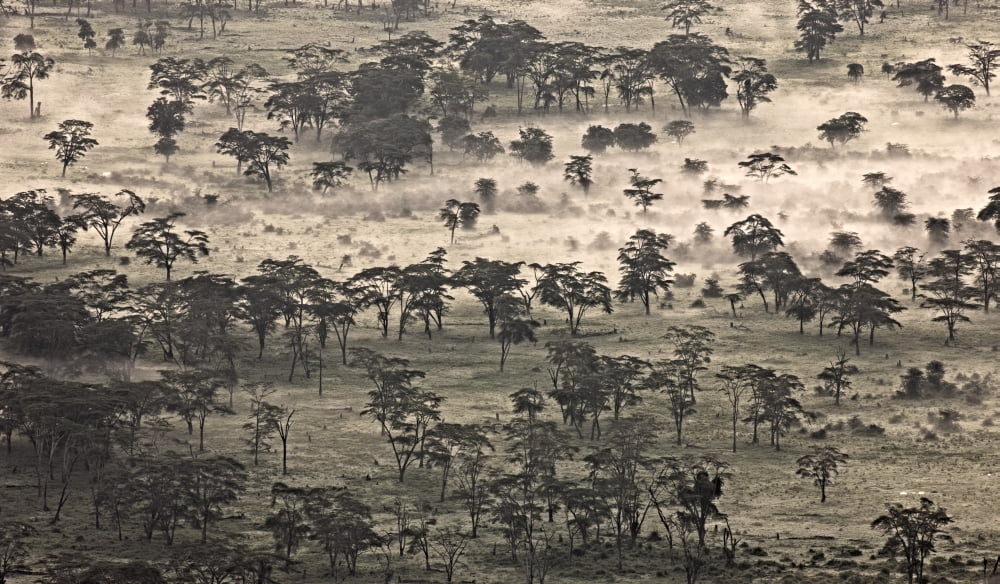 Ngorongoro Crater Tanzania Africa Canvas Art - Carson Ganci Design Pics (40 x 22)