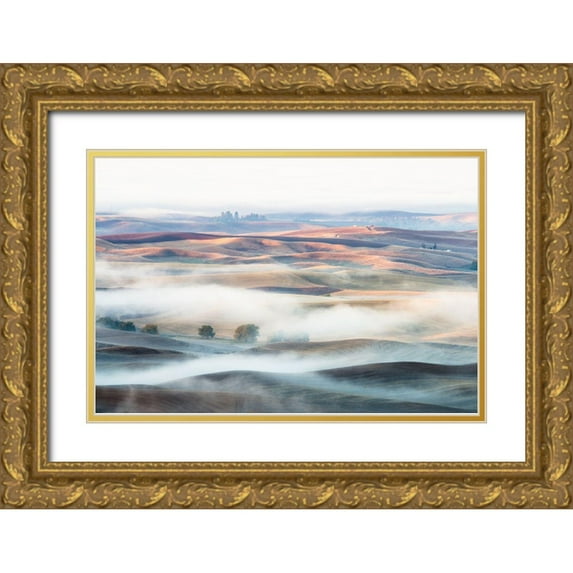 Nguyen, Thien 24x17 Gold Ornate Wood Framed with Double Matting Museum Art Print Titled - Misty Morning
