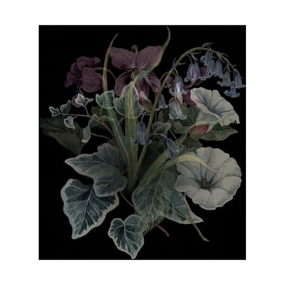 Nhor - Wildflowers - Music & Performance - Vinyl