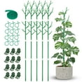 thumbnail image 1 of NiHome 50" Plant Support Stakes 5-Pack for Indoor & Outdoor Garden Climbing Plants Enhances Upright Growth - UV-Resistant, Non-Rotting Plastic Natural Branch Look for Pothos, Clematis, Ivies (Green), 1 of 8