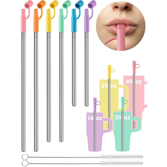NiHome 6PCS Reusable Anti-Wrinkle Straw Set Fit for Stanley Tumblers, 3 Lengths Stainless Steel Drinking Straws with Silicone Tips Fit for 14oz 20oz 30oz 40oz, Protective Caps & Brushes (6 Colors)