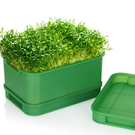 NiHome Germination Tray Seed Sprouting Box for Beans, Grains, Sprouts, Soil-Free Dual Water Trays for Clean Efficient Growth, Large Size 9"x6.3"x4.7" for Beginners, Enjoy Fresh Healthy Sprouts(Green)