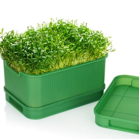 NiHome Germination Tray Seed Sprouting Box for Beans, Grains, Sprouts, Soil-Free Dual Water Trays for Clean Efficient Growth, Large Size 9"x6.3"x4.7" for Beginners, Enjoy Fresh Healthy Sprouts(Green)