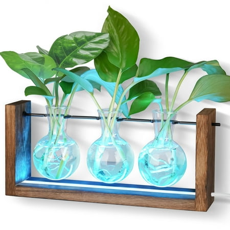 NiHome Light Up Desktop Plant Terrarium with Wooden Stand, Wall Mount Plant Propagation Station, Glass Air Planters for Indoor Plants 3 Bulb Detachable Vases for Hydroponics, Home & Office Decor