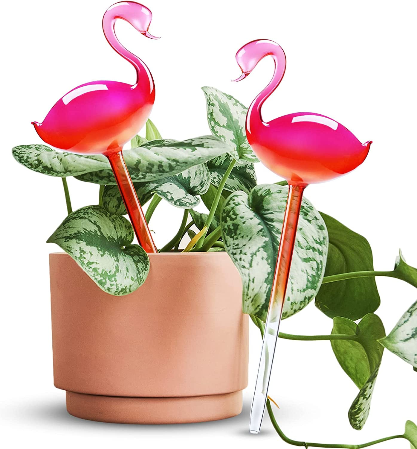 Flamingo Gradient Hot Pink Glass Self-Watering Globes, 10"
