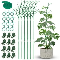 NiHome Twig Plant Support Stake Set 6-Pack for Climbing Plants - High-Quality Plastic, No Rotting or Rusting, Blends in with Plants, Stable & Sturdy Support, Suitable for Indoor and Outdoor Plants