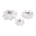 thumbnail image 1 of Nia Table or Wall Vases - Set of 3, 1 of 6