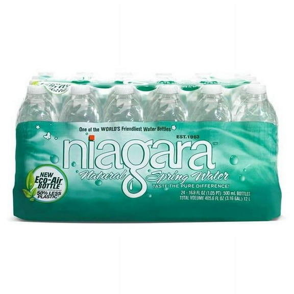 Niagara 24-Pack 16.9-fl oz Spring Water Bottled Water