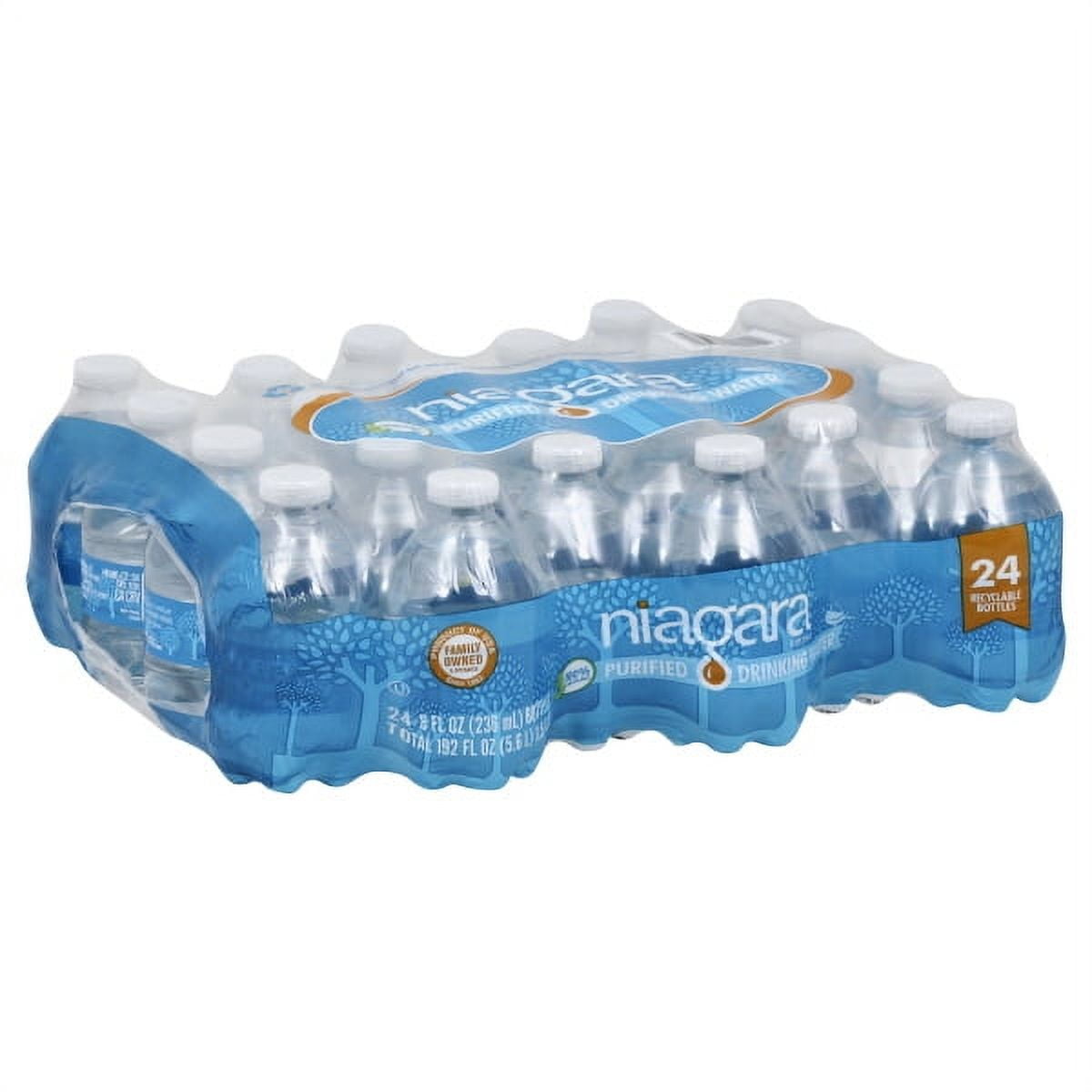 Niagara 32-Pack 16.9-fl oz Purified Bottled Water