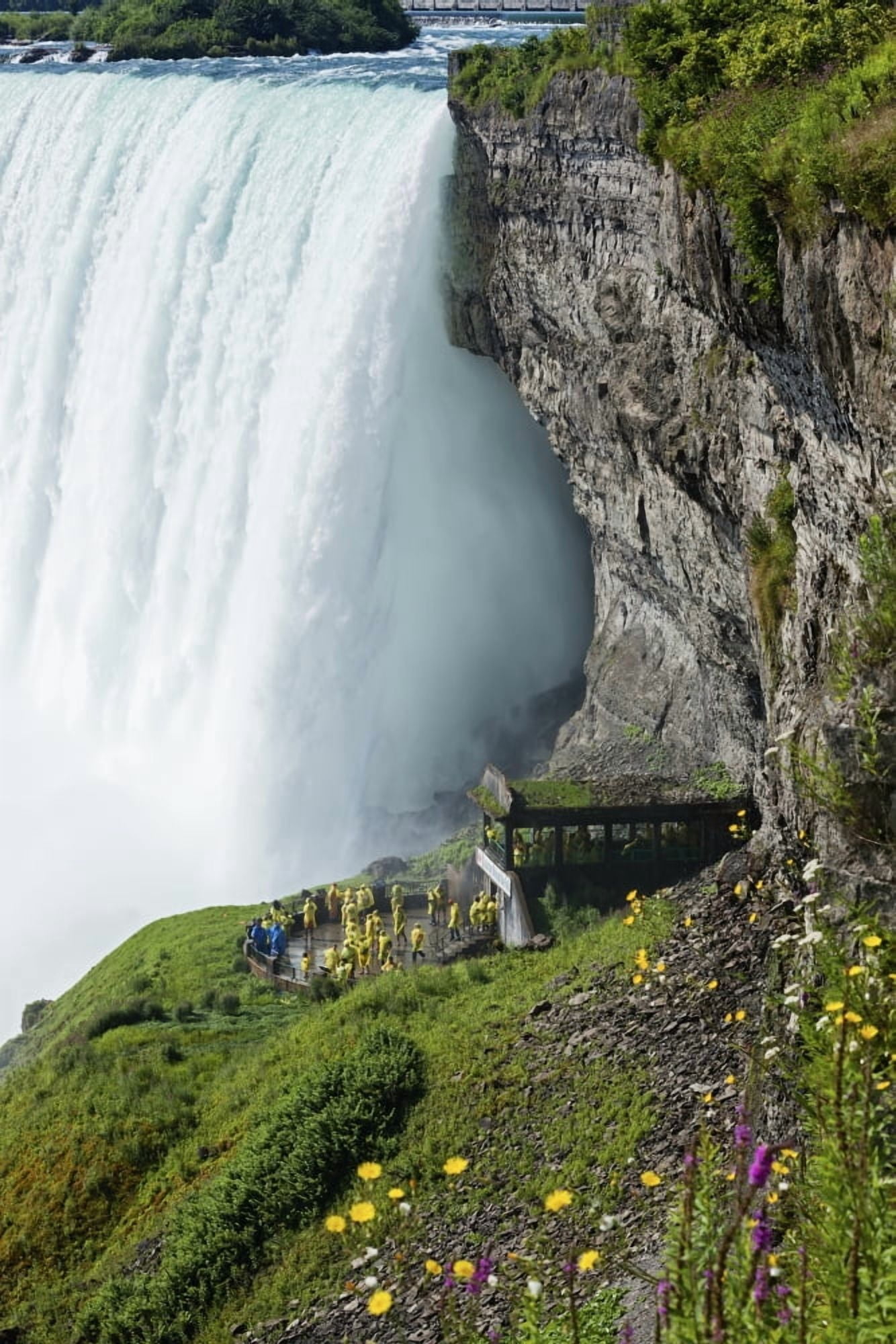 Niagara Falls Ontario Canada Canvas Art - Carl Bruemmer Design Pics (12 x 19)
