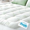 thumbnail image 1 of Niagara Sleep Solution Ultra Soft Full Size Mattress Topper - Rayon Derived from Bamboo Pillow Top Mattress Pad for Back Pain Relief - Naturally Cooling for Hot Sleepers, Green, 1 of 3