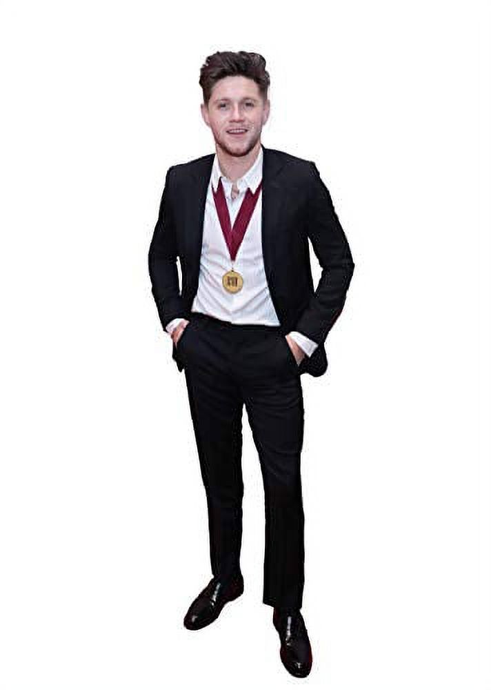 Niall Horan LIFESIZE Cardboard Standee Cutout Display