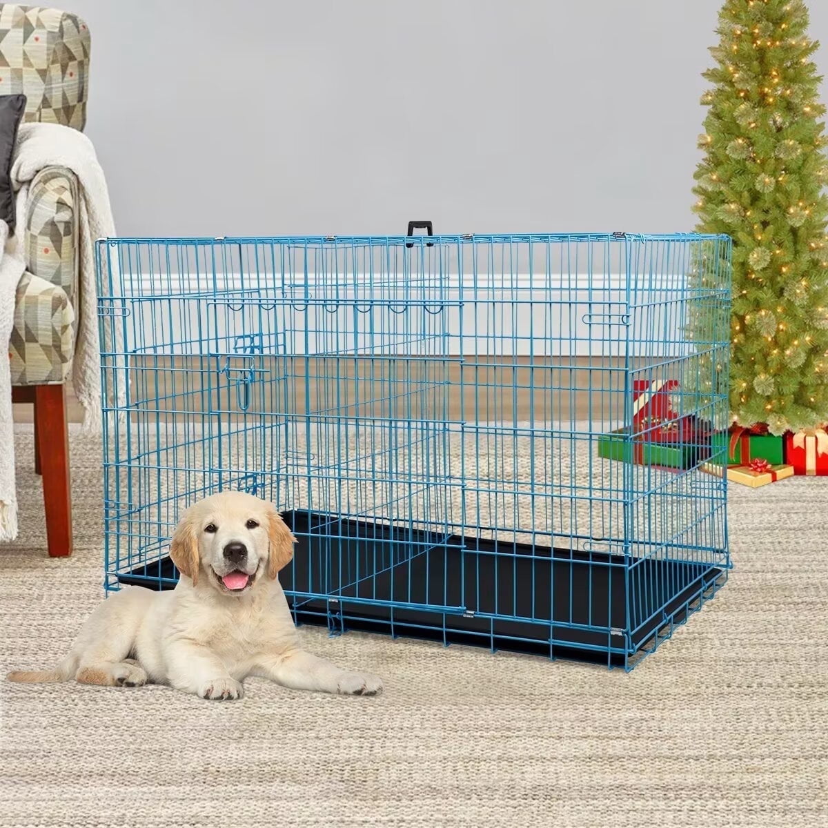 NiamVelo 24 Inch Dog Cage for Small Dogs, Folding Dog Crate Metal Wire Crates Dog Kennels Small Puppy Crate Outdoor and Indoor Pet Crate with Double Door, Blue