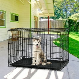 YML Single Door Pet Crate, Black, Medium, 30