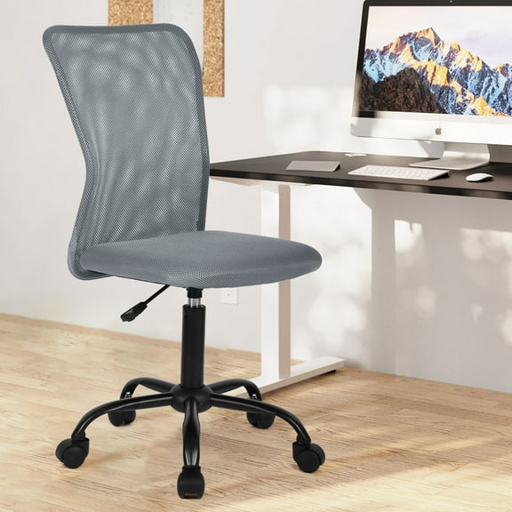 NiamVelo Executive Office Chair Armless Computer Chairs Adjustable Desk Chair with Lumbar Support for Teens Adults, Grey