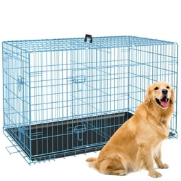 Dog Crate  Newly Enhanced MidWest iCrate XXS Folding Metal Dog