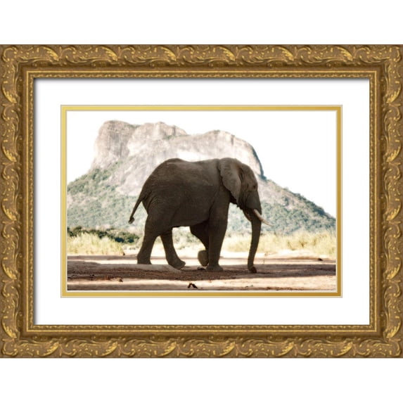 Niassa Lion Project 18x13 Gold Ornate Wood Framed with Double Matting Museum Art Print Titled - Lone Ele