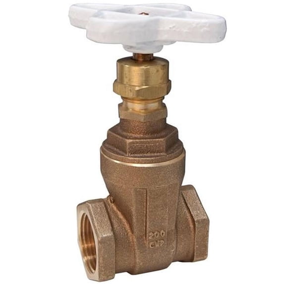 Nibco T113LF2 2 in. Lead Free Threaded No.300 CWP Non-Rising Stem Gate Valve in Bronze