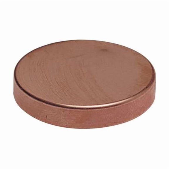 Nibco Test Cap,Wrot Copper,1-1/4" Tube,C 917B 11/4