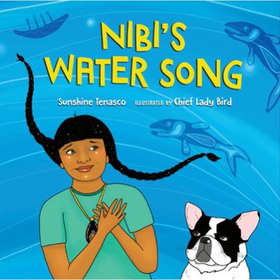 Pre-Owned Nibi's Water Song (Hardcover) 1643794825 9781643794822