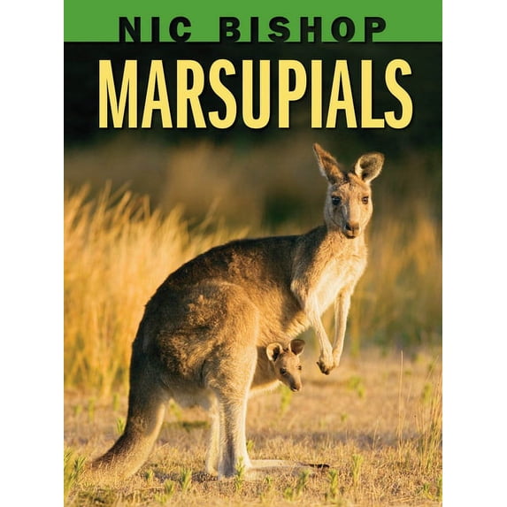 Nic Bishop: Marsupials, (Hardcover)