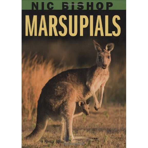 Pre-Owned Nic Bishop: Marsupials (Hardcover) 043987758X 9780439877589
