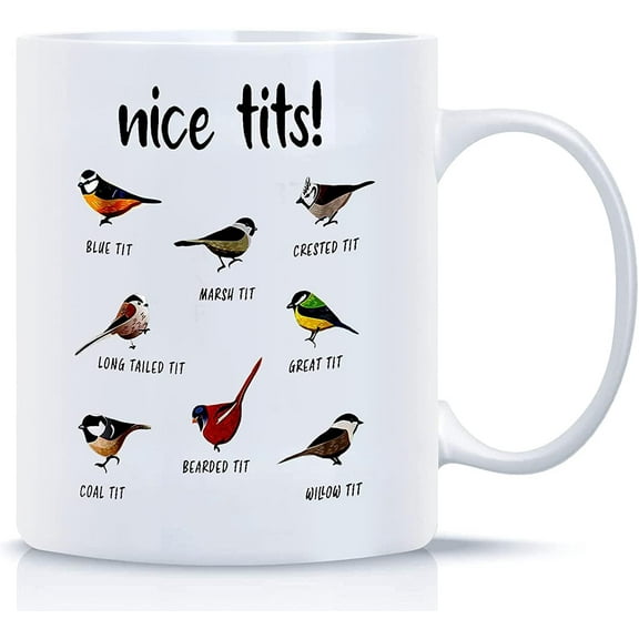 Nice Bird Funny Coffee Mug Novelty Ceramic Coffee Mug Fowl Language Bird Mug Christmas Gifts for Friends Family Colleagues Bird Lovers white 11 Oz