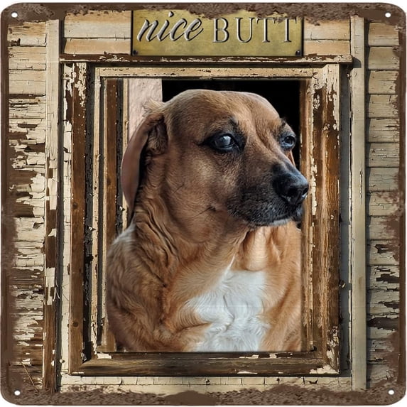 Nice Butt Dog Retro Tin Sign Funny Bathroom Wall Decor Metal Sign for Bathroom Home Bar Coffee Animal Sign Toilet Posters Rustic Wall Art Housewarming Gift 12x12 Inches