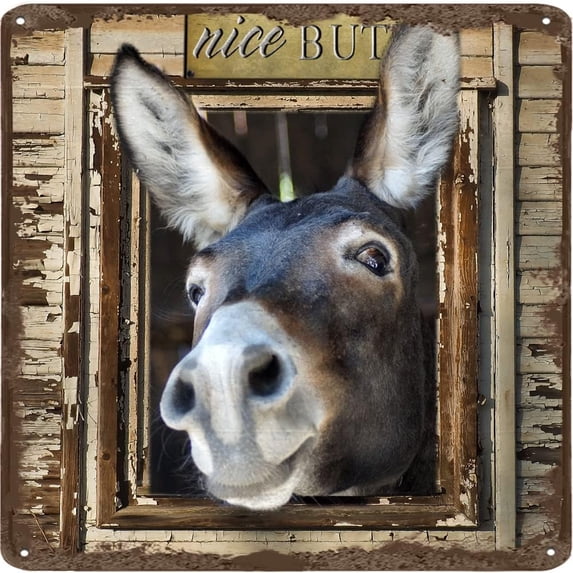 Nice Butt Donkey Vintage Metal Tin Sign Bathroom Wall Decor Iron Painting Sign for Bathroom Home Bar Coffee Animal Sign Toilet Posters Rustic Wall Art Housewarming Gift 12x12 Inches