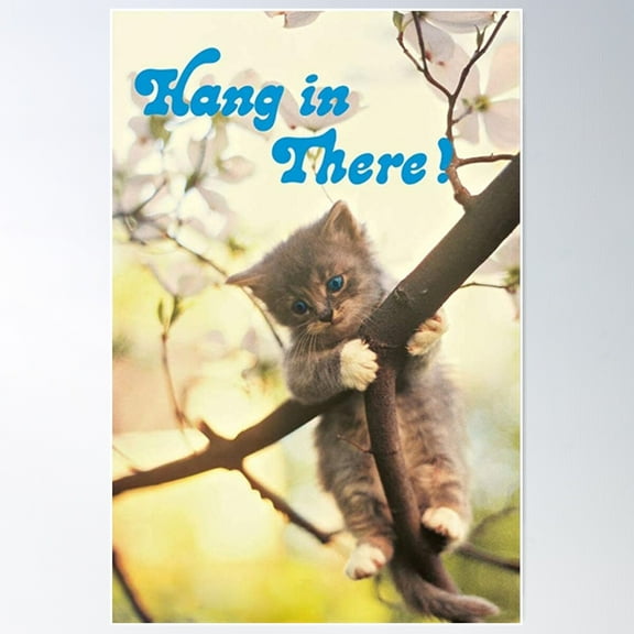 Nice Cat Hang In There Poster Poster Wall Art, Modern Wall Decor For Living Room Bedroom, 24x36 UNFRAMED