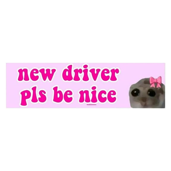 Nice Driver Car Sticker,New Driver Please Be Nice,New Driver Sad Hamster Driver Sticker,Self Adhesive Waterproof Learner Driver Sticker,Essential Signs for Learner Drivers,Student Driver Sticker
