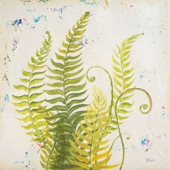 Nice Ferns II Poster Print by Patricia Pinto (24 x 24)