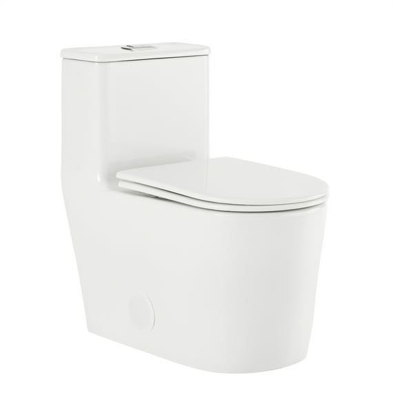 Nice One-Piece Elongated Toilet Dual-Flush 1.1/1.6 gpf