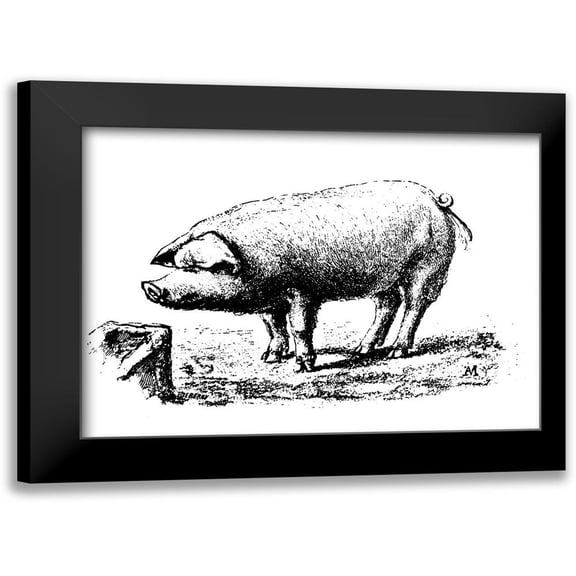 Nice Pig 14x11 Black Modern Framed Museum Art Print Titled - Art Licensing Studio