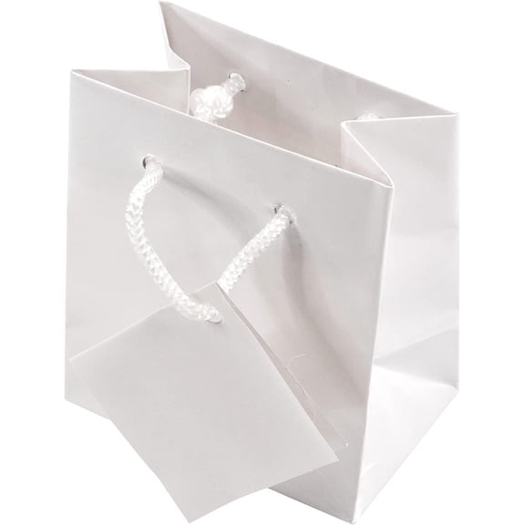 NicePackaging 10 Qty Glossy White Paper Tote Gift Bags 3in x 2in x 3.5in For Birthdays/Holidays/Parties/Gifts/Sales/Showers/Special Occasions 4 Sizes