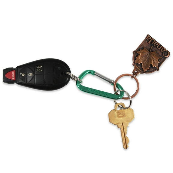 NicePackaging Multi-Pack - Aluminum Carabiner Keychain Set Durable Self-Closing