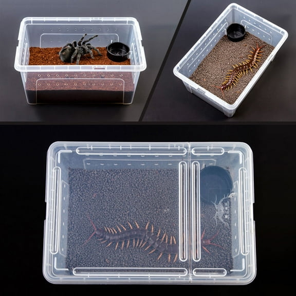 Niceauty 1Set Clear Acrylic Reptile Terrarium Habitat for Pet Feeding and Breeding with Safe Materials