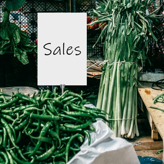 Niceauty Display Poster Board White Paper 10Pack