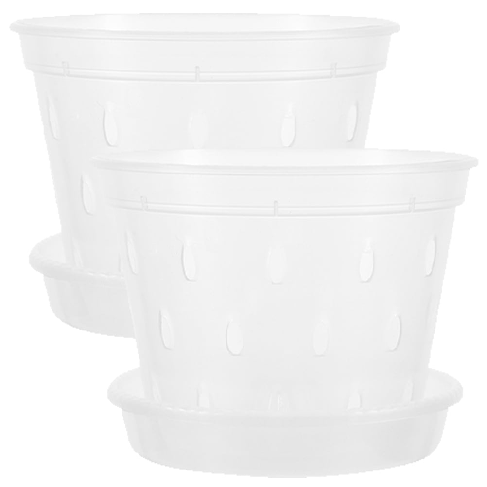Niceauty 2 Sets Clear Root Control Pot for Balconies and Courtyards ...