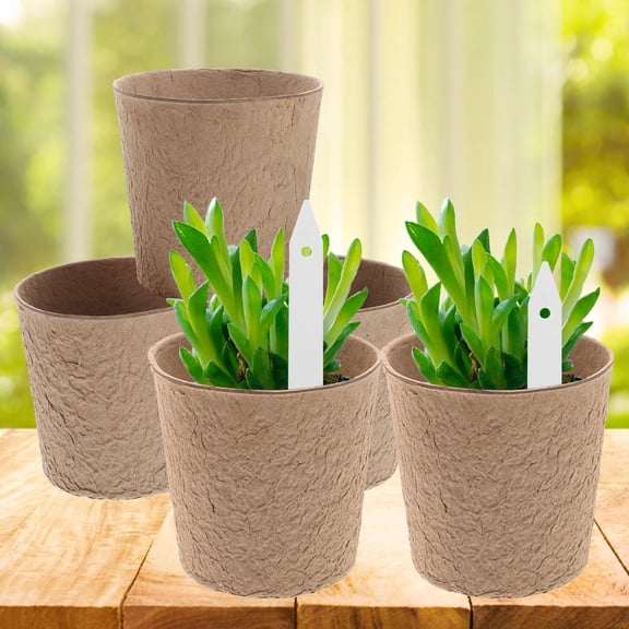 Niceauty 30pcs Biodegradable Small Pot Pulp Pot Plant Starters for Gardeners and Plant Lovers