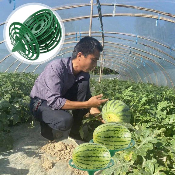 Niceauty 6pcs Strawberry Planting Rack Plastic Green Stand for Climbing Vines