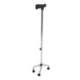 thumbnail image 1 of Niceauty Ladies Walking Sticks for Seniors with Stability Support 1Set, 1 of 8
