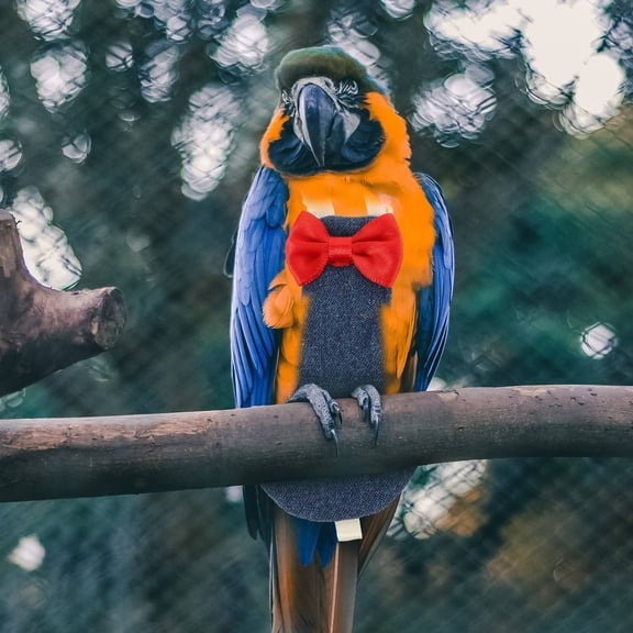 Niceauty Lightweight Bird Diaper Harness Flight Suit in Blue Cotton for Small Pet Birds Outdoors