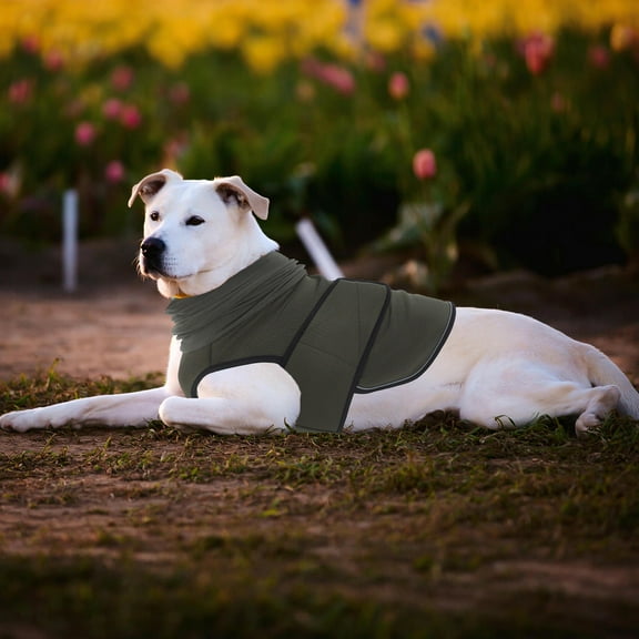 Niceauty Soft Comfortable Olive Green Dog Hoodie for Anxiety and Thunderstorm Protection