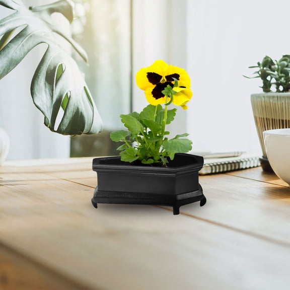 Niceauty Coffin Storage Box Resin Black 1Set For Decorative Use Adults Home Decoration