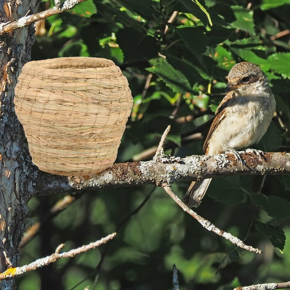 Niceauty Natural Grass Bird Nest Large Robin Bird House Nest For Doves Bird Nest Ornament Pet Sleeping Nest Garden Nest