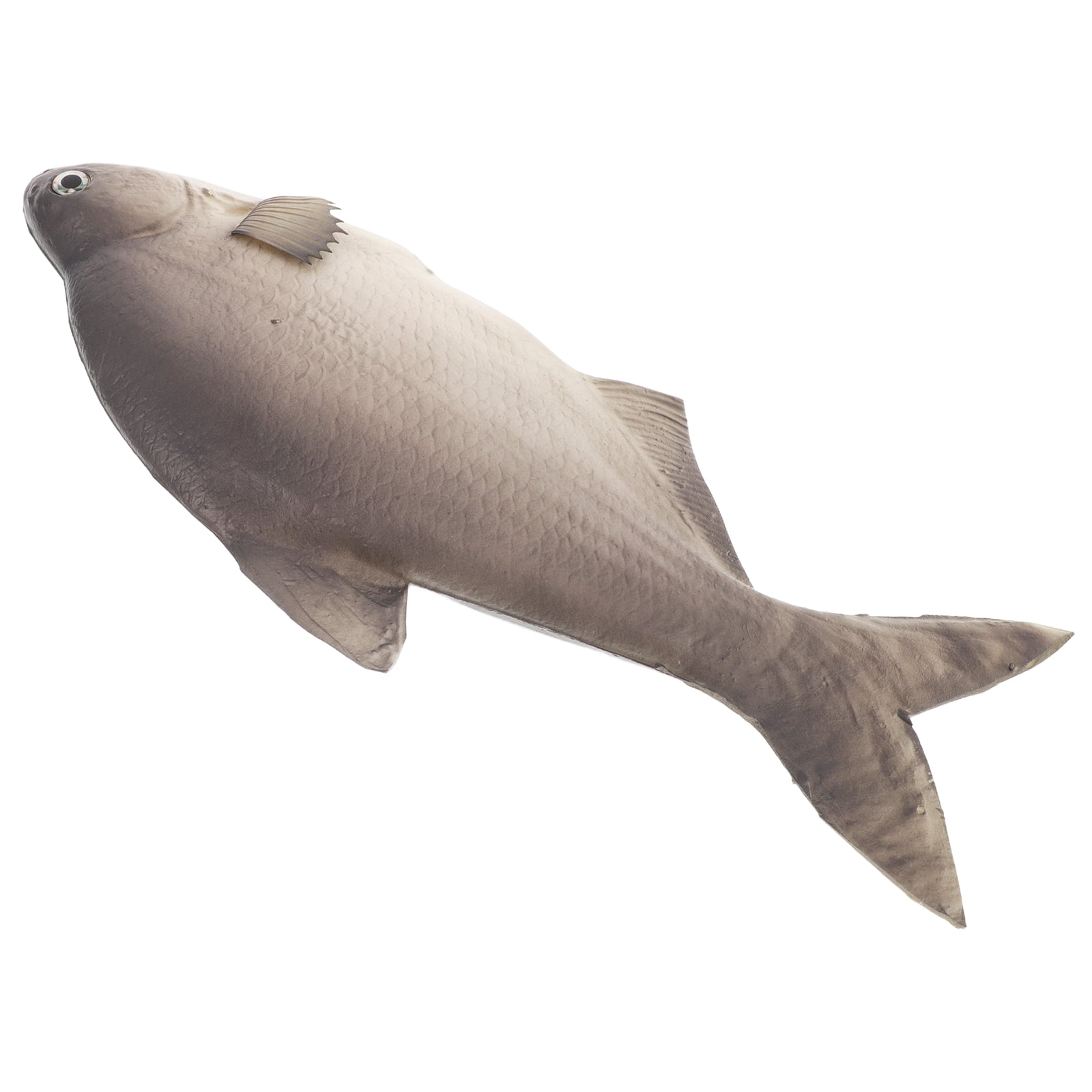 Niceauty Realistic Fish Model Multi PU Photo Props 1Pcs for Photography ...